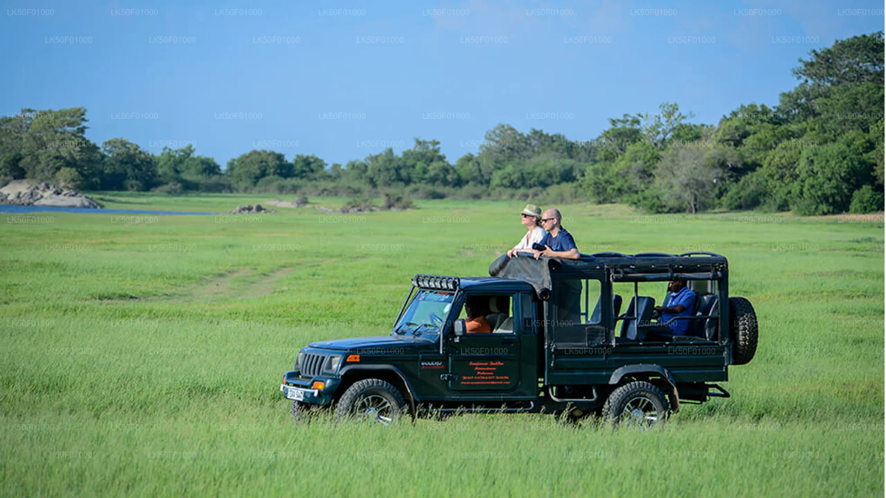 Wilpattu Safari Jeep Tour
