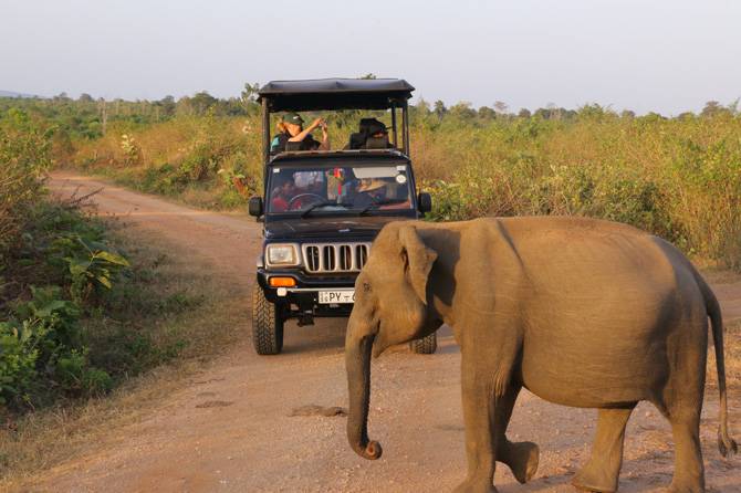 Yala Safari Jeep Tour