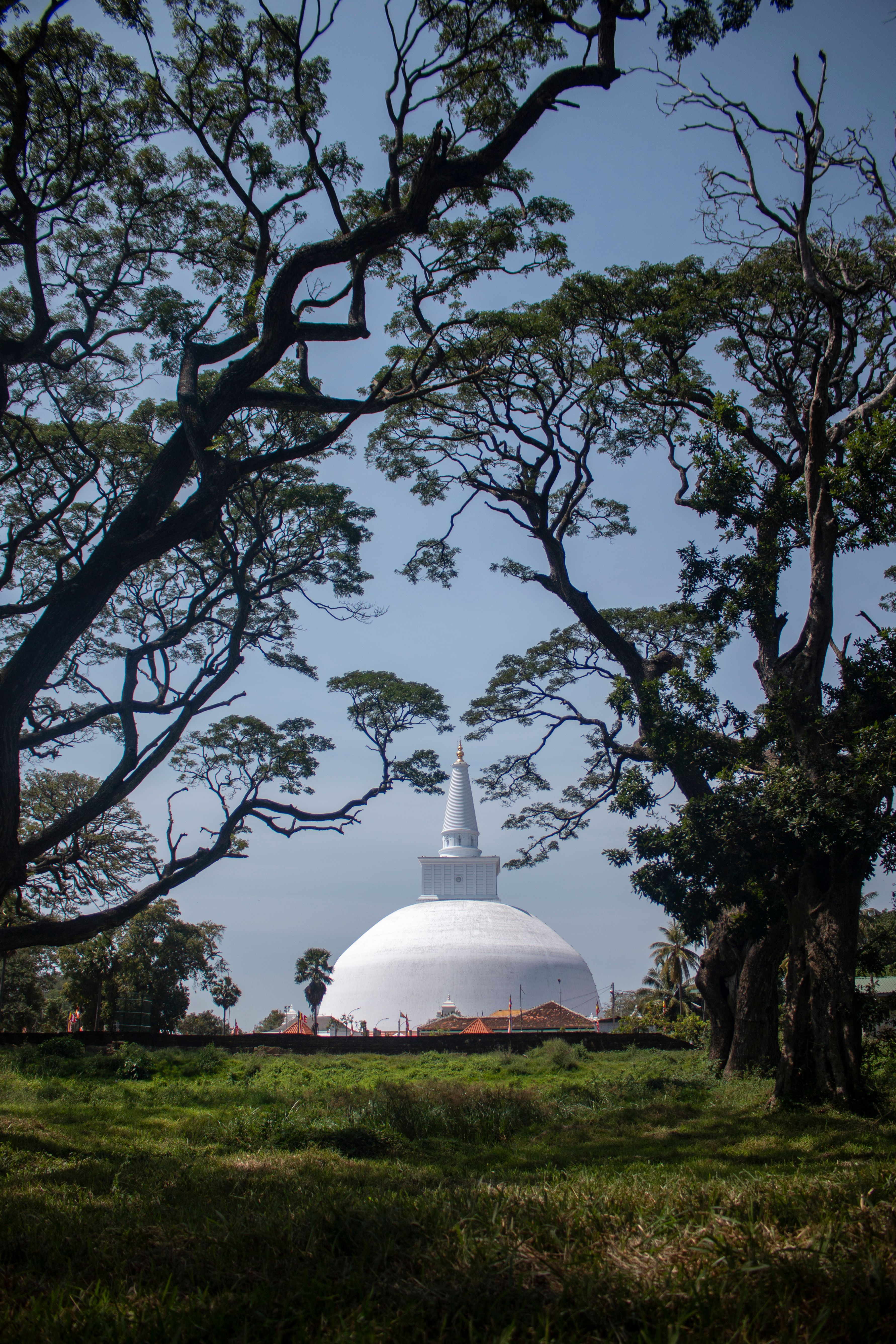 Anuradhapura, Sri Lanka: local landscapes and travel experiences