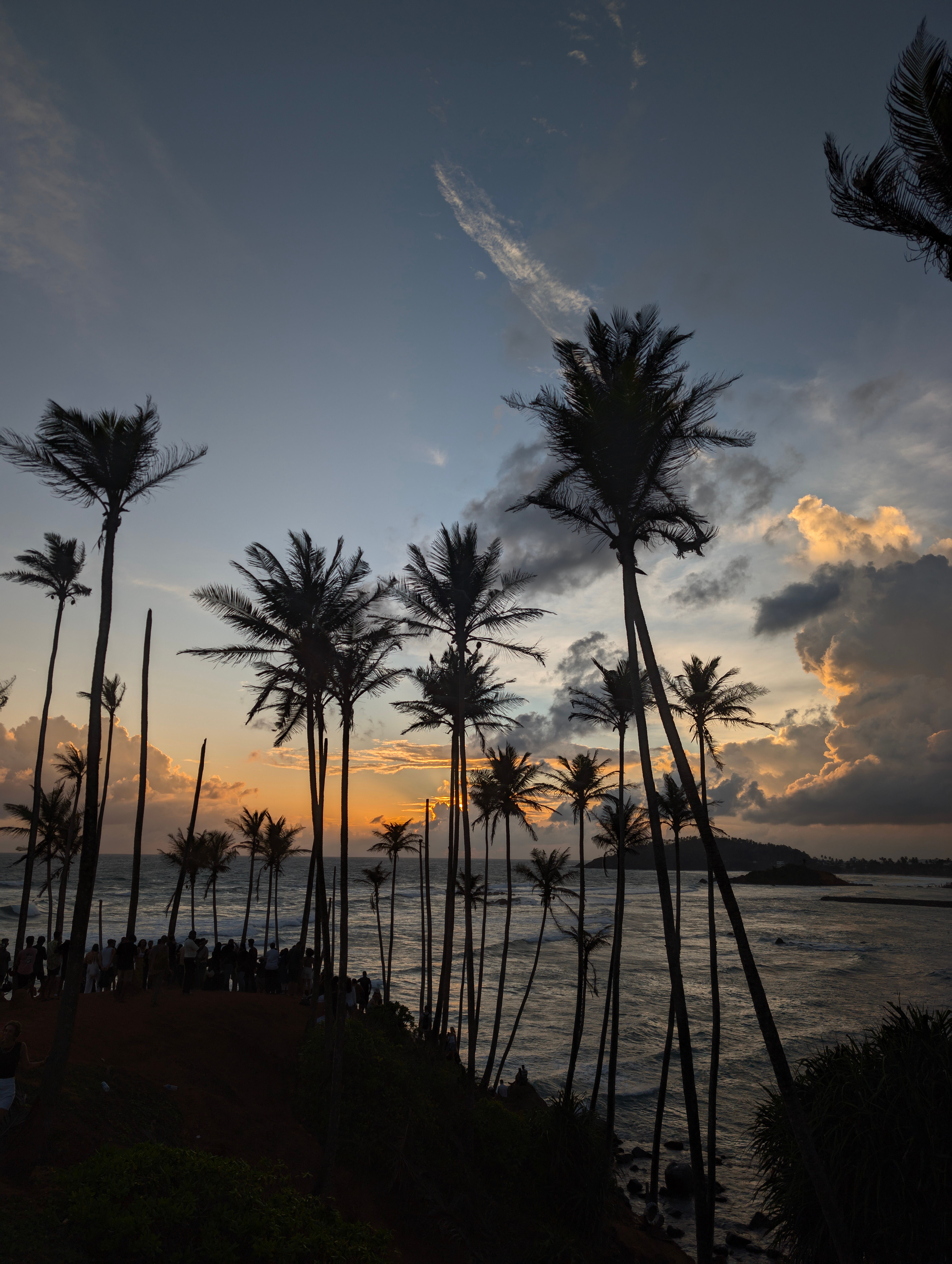Mirissa, Sri Lanka: local landscapes and travel experiences